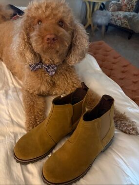 NWOB Chaco Chelsea Ankle Boots in Mustard